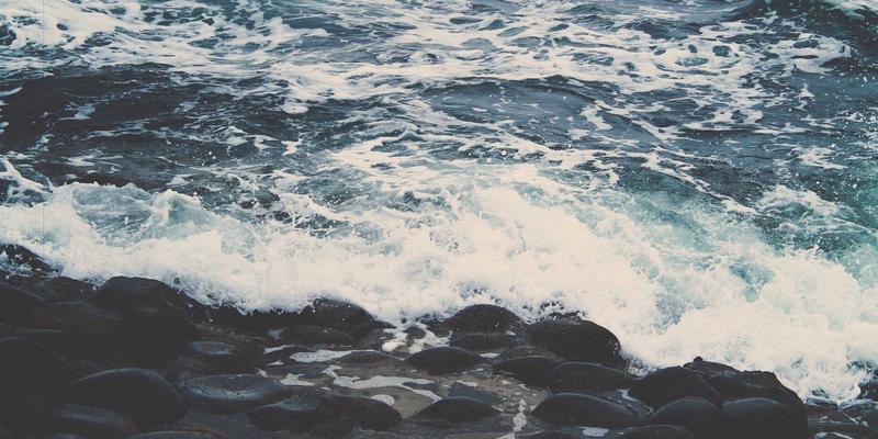 从0到1引爆社交电商:社群运营与裂变增长的实战方法论