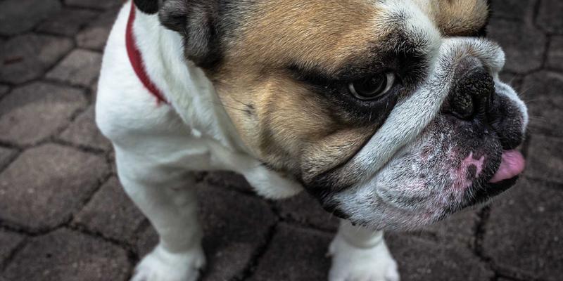 破局最后一公里：融合数字营销的电商物流优化与体验升级全攻略