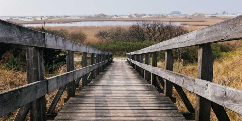 转化率翻倍的秘密:电商如何用A/B测试重塑产品页面,引爆社交媒体流量